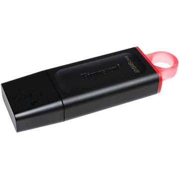 Флеш пам'ять USB Kingston 256 GB DataTraveler Exodia (DTX/256GB)